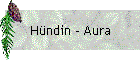 Hndin - Aura