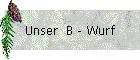 Unser B - Wurf