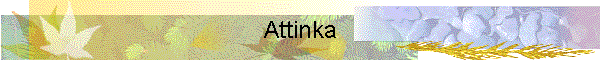 Attinka