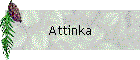 Attinka