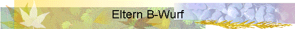 Eltern B-Wurf