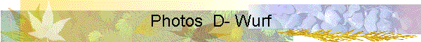Photos  D- Wurf