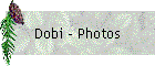 Dobi - Photos