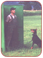 bewacht.gif (15432 Byte)